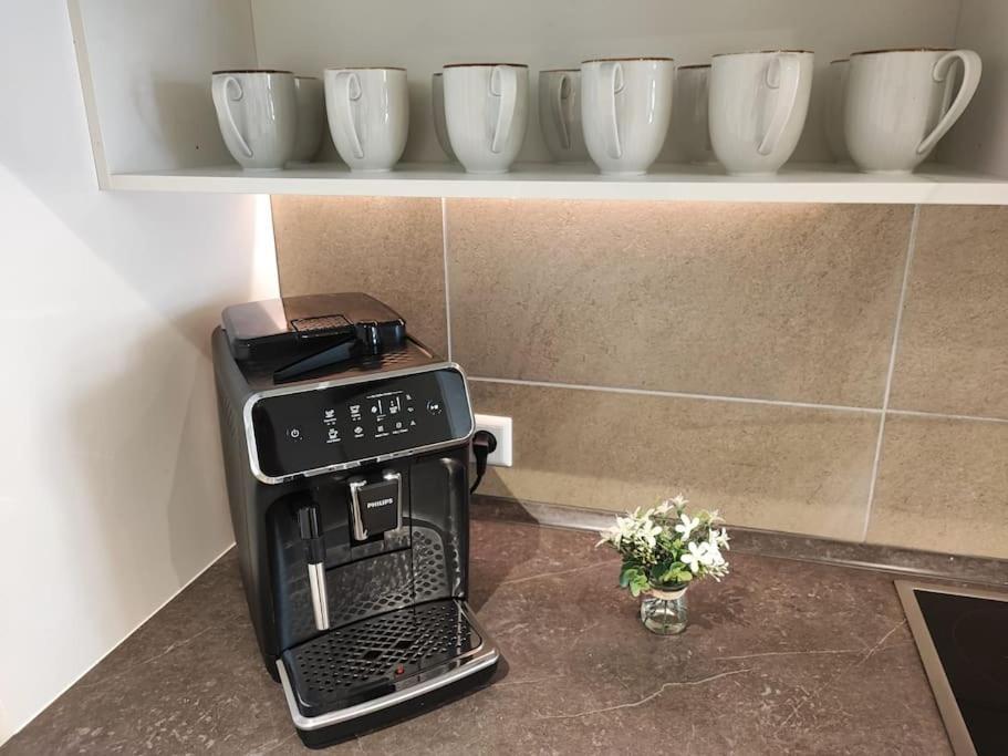 -Stadthaus Ida- Mit Grosser Dachterasse, Am Schlosspark, Luftkurort Kisslegg, Boxspringbetten, Kaffeevollautomat, Smarttv, Familienfreundlich, Grosszuegig, Zentral エクステリア 写真