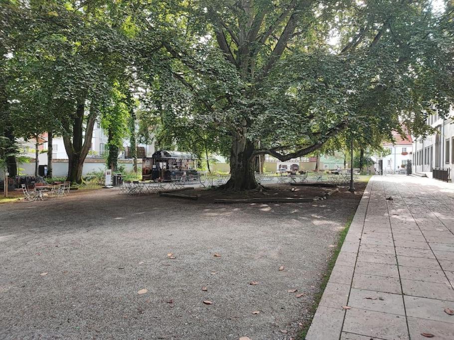 -Stadthaus Ida- Mit Grosser Dachterasse, Am Schlosspark, Luftkurort Kisslegg, Boxspringbetten, Kaffeevollautomat, Smarttv, Familienfreundlich, Grosszuegig, Zentral エクステリア 写真